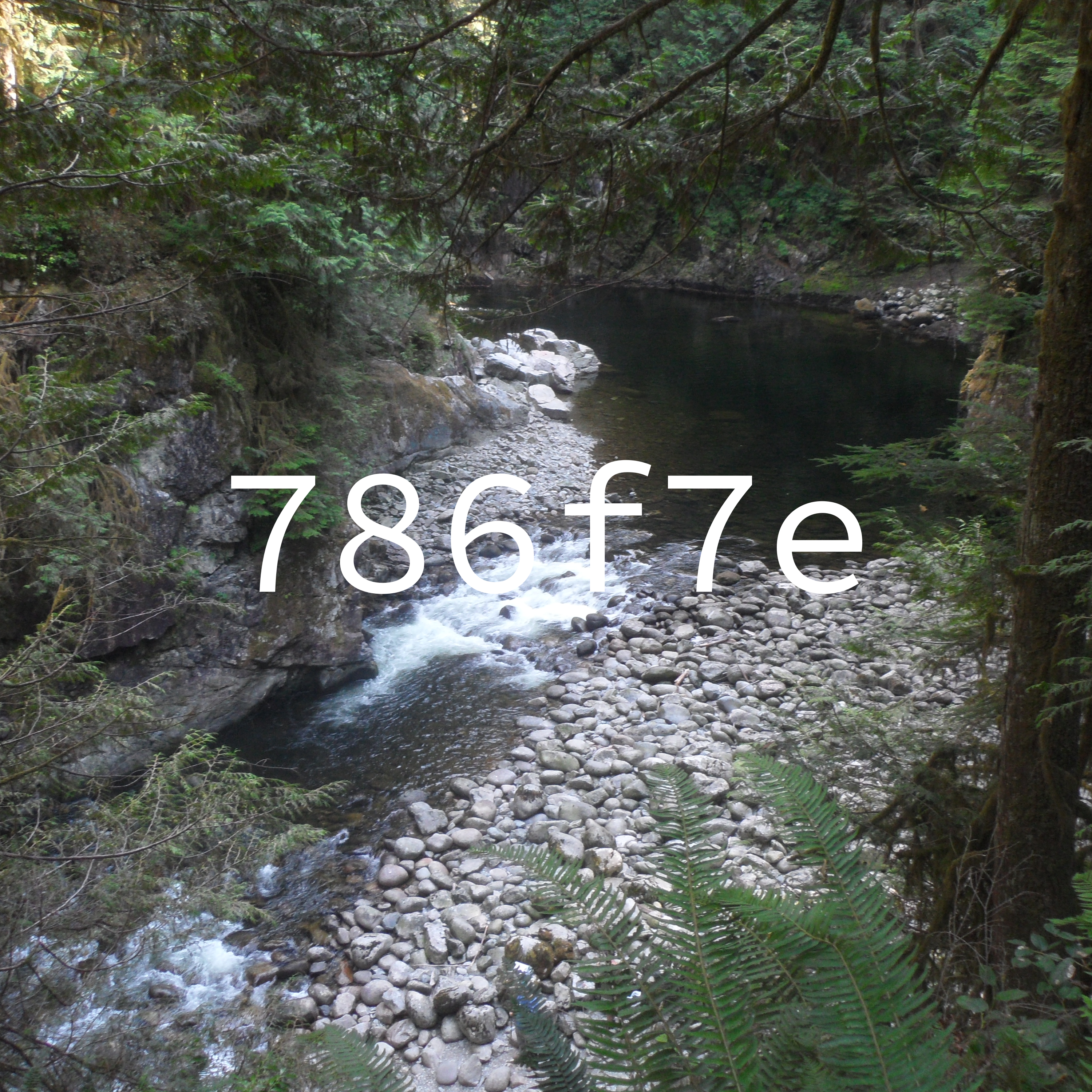 The cover art for the creek next to my home, which is a picture of a small rocky creek with a small rocky beach and surrounded by foliage. The text 786f7e is overlaid ontop.