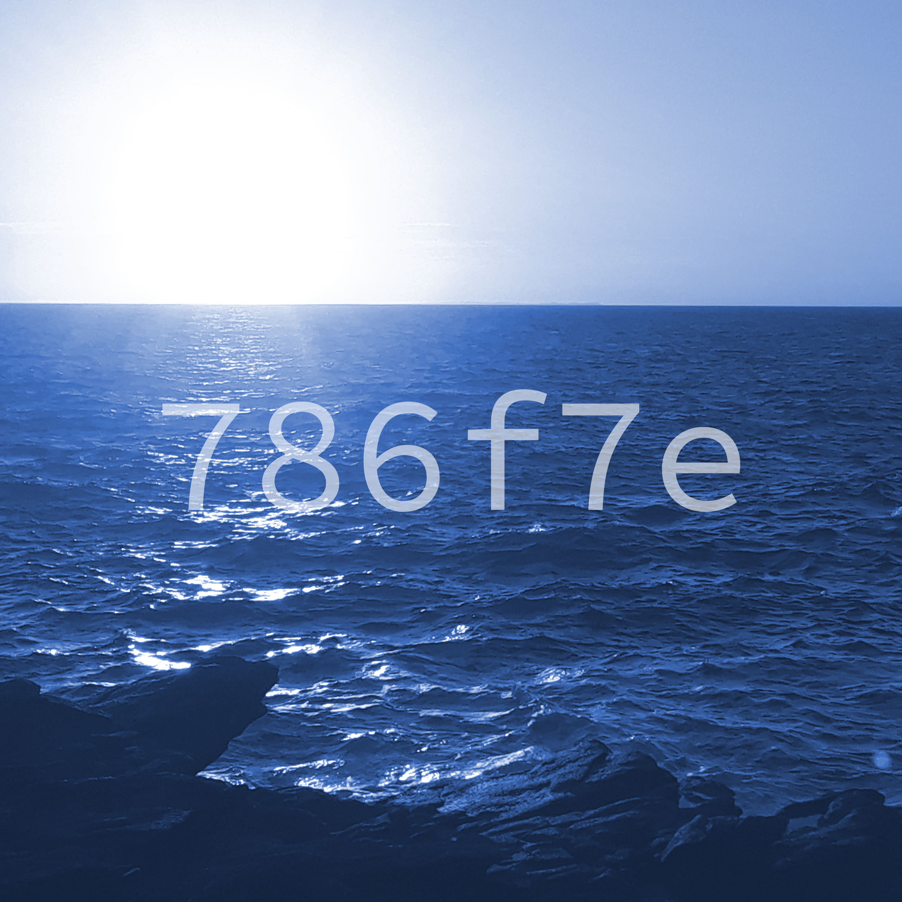 The cover art for the whale fall, which is a blue picture of the sea and the horizon shot over some rocks near the camera. The text 786f7e is overlaid ontop.