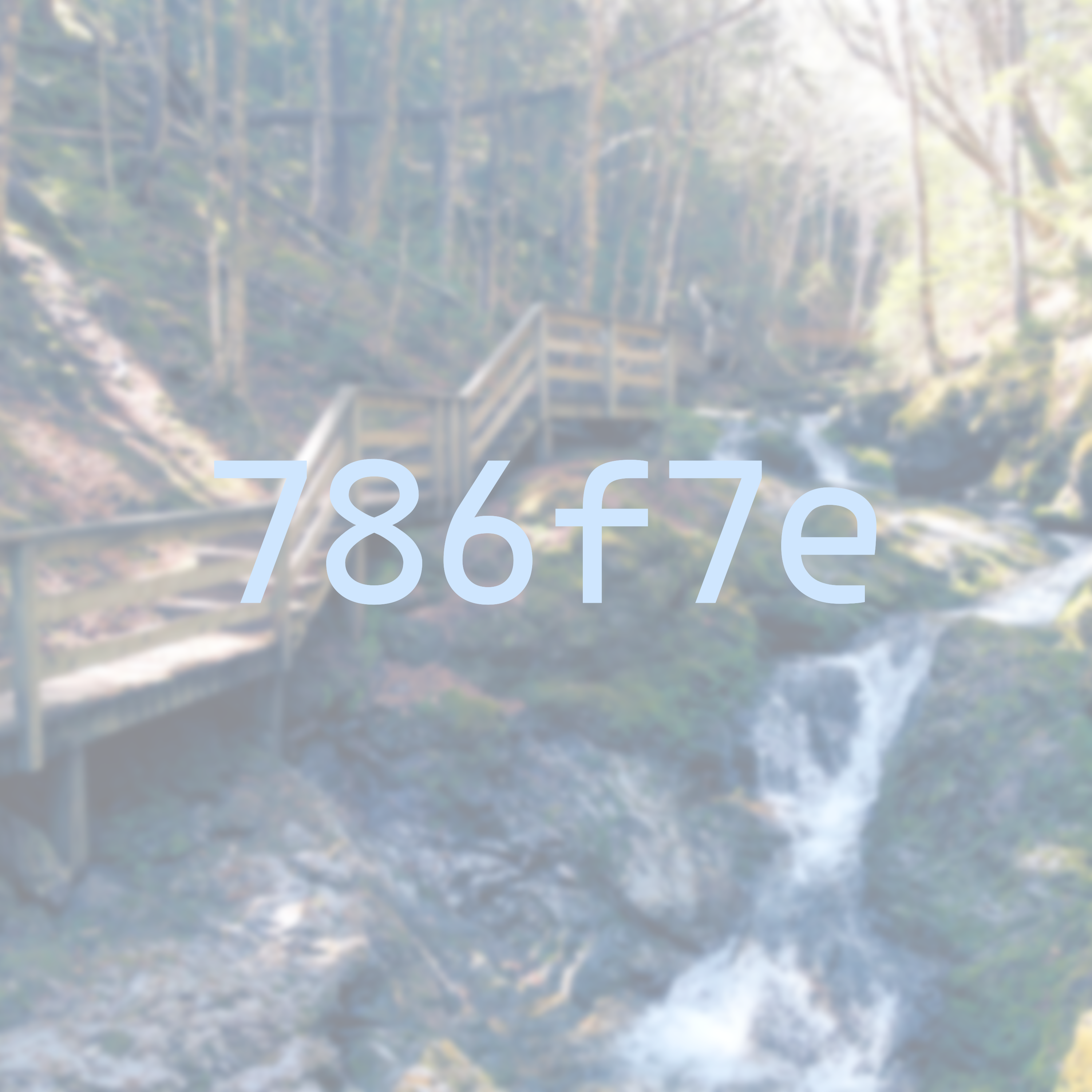 The cover art for trip to the grocery store, which is a picture of a forest trail with a stream on one side and a wooden path with guardrails on the other. The text 786f7e is overlaid ontop.